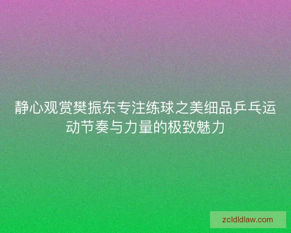 静心观赏樊振东专注练球之美细品乒乓运动节奏与力量的极致魅力